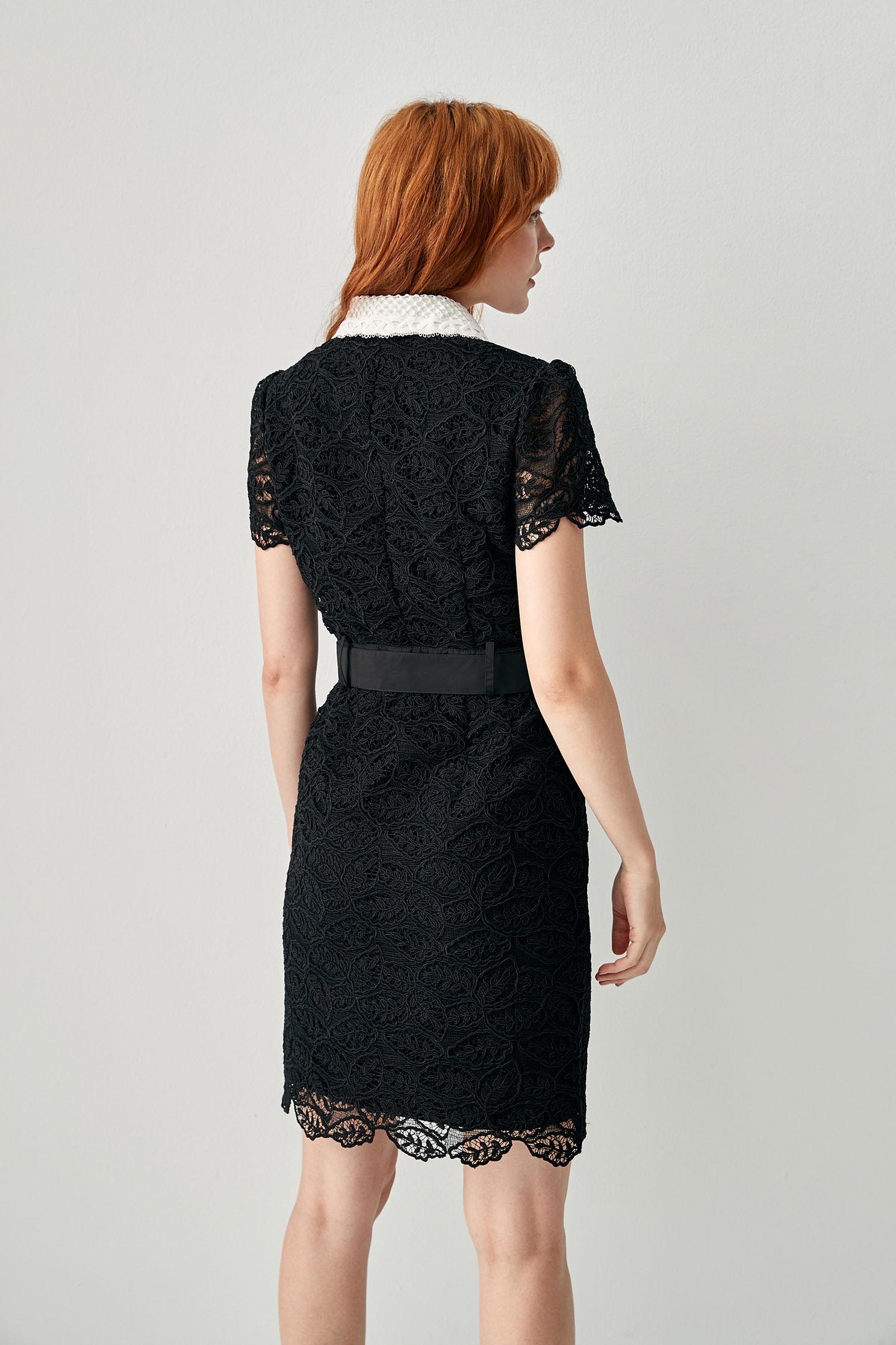 Full Lace Button Front Dress With Contrast CollarLace short dress,Embroidered,Queen,Lace dresses,Season (SS) Look,Valentine,Belts,Lace,Lace dresses