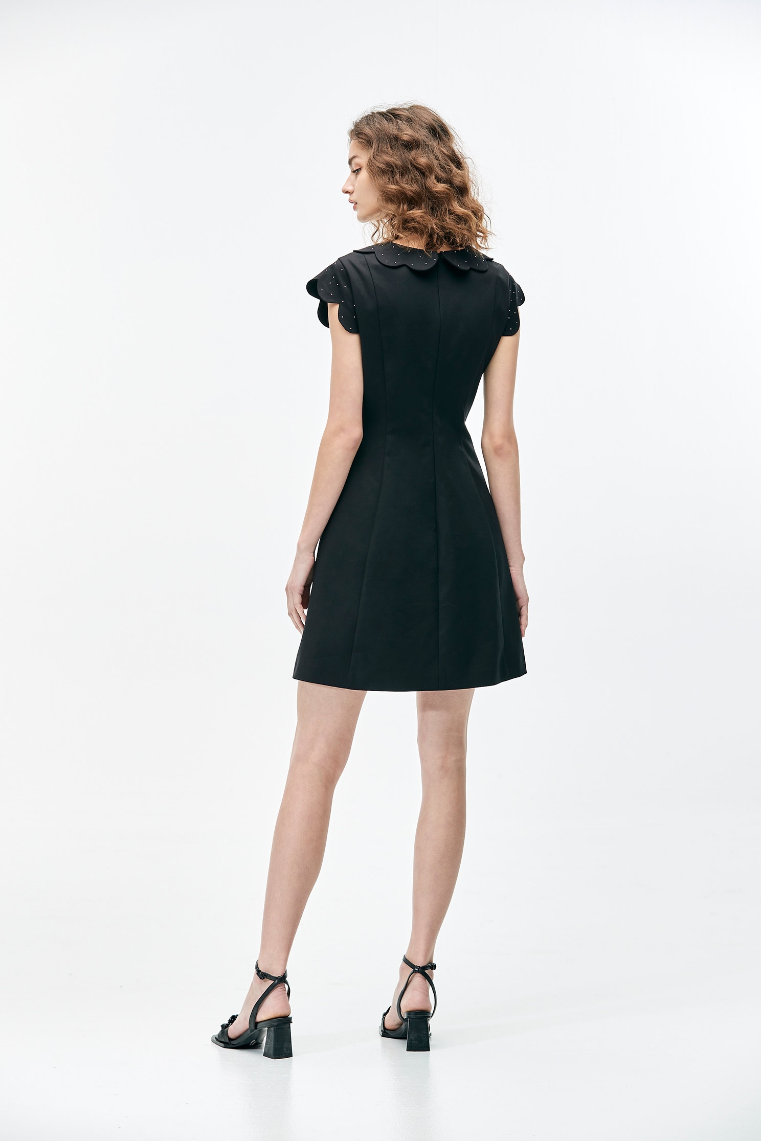 Black Scallop Sleeve A-Line DressLustrous short dress,Dresses,Season (SS) Look
