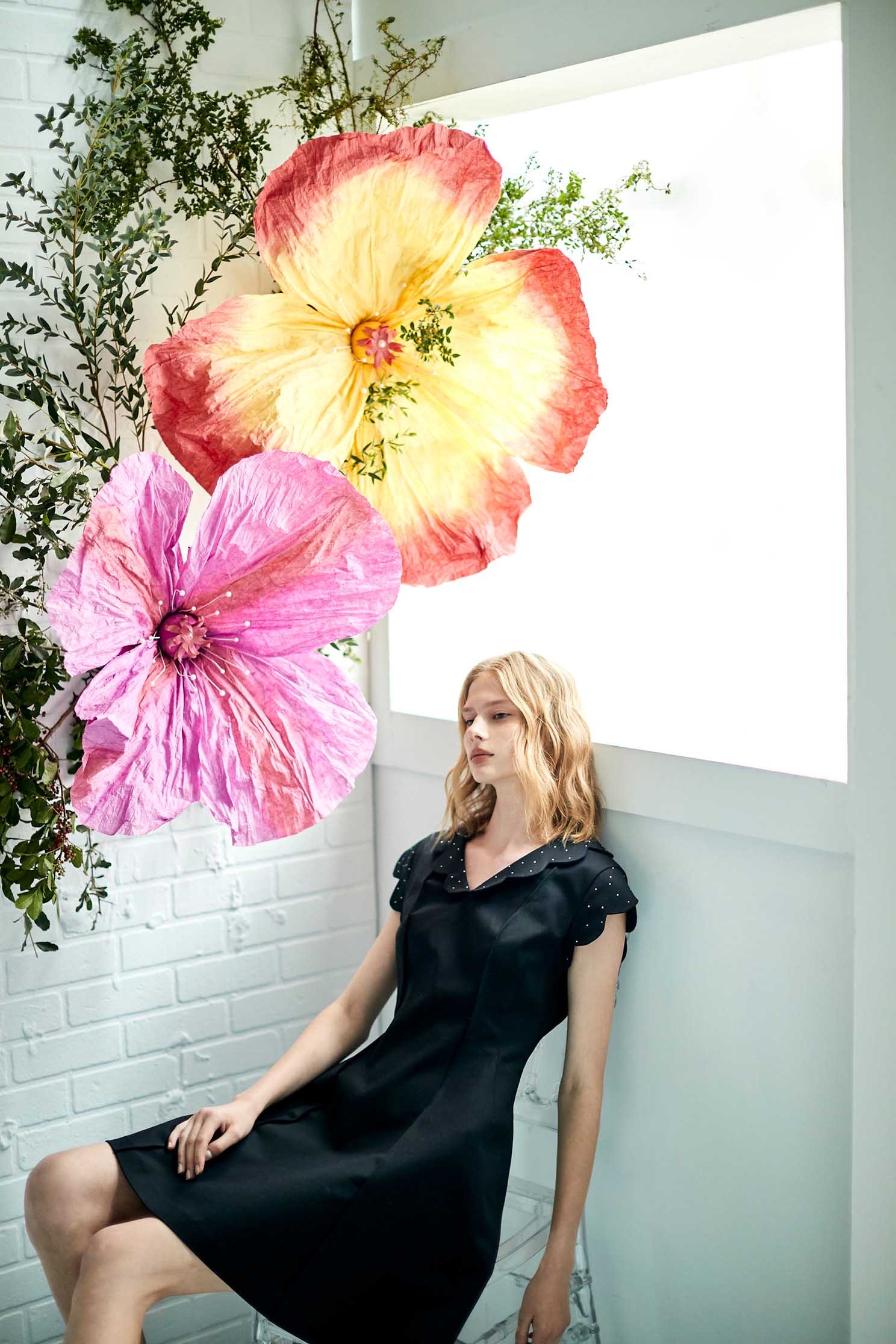 Black Scallop Sleeve A-Line DressLustrous short dress,Dresses,Season (SS) Look