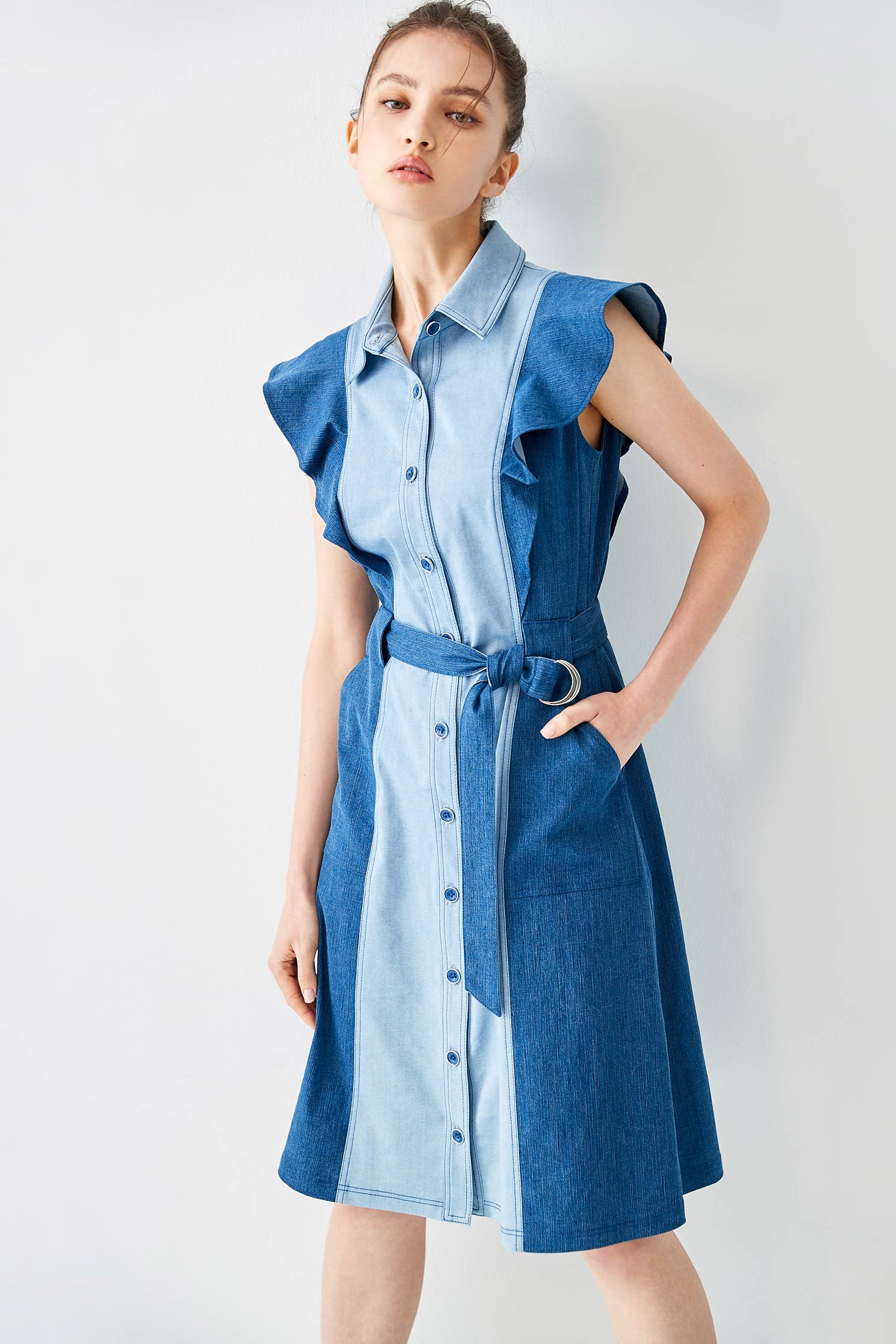 Button Front Denim Dress With Ruffle SleevesRuffled dress with color matching,Dresses,Denim,Season (AW) Look,Valentine