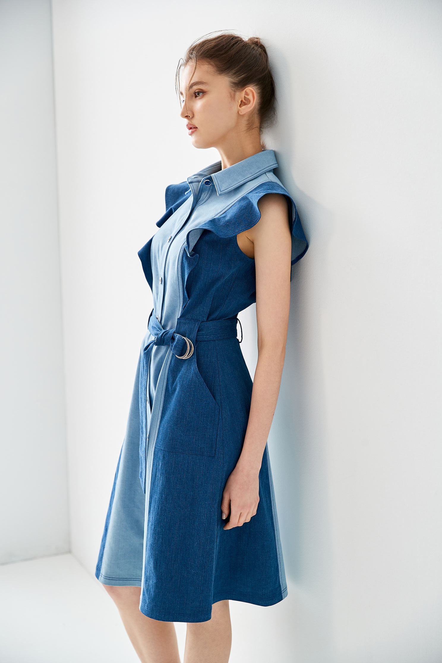 Button Front Denim Dress With Ruffle SleevesRuffled dress with color matching,Dresses,Denim,Season (AW) Look,Valentine