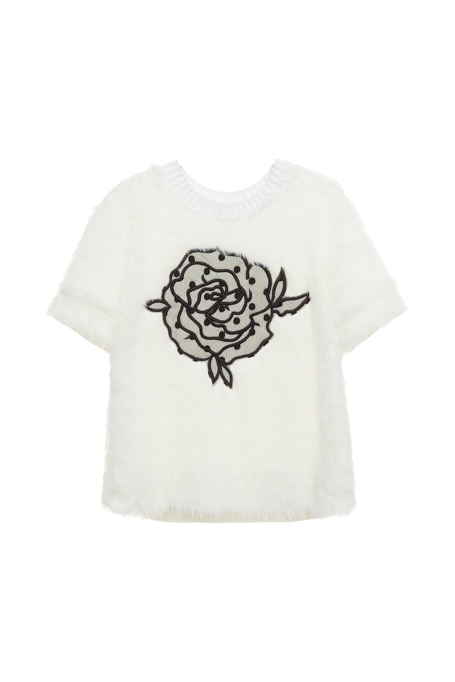 Rose Embroidery Graphic Short Sleeve TopRose Embroidery Graphic Short Sleeve Top,Tops,Embroidered,Short sleeve tops,Season (AW) Look,Mesh fabric