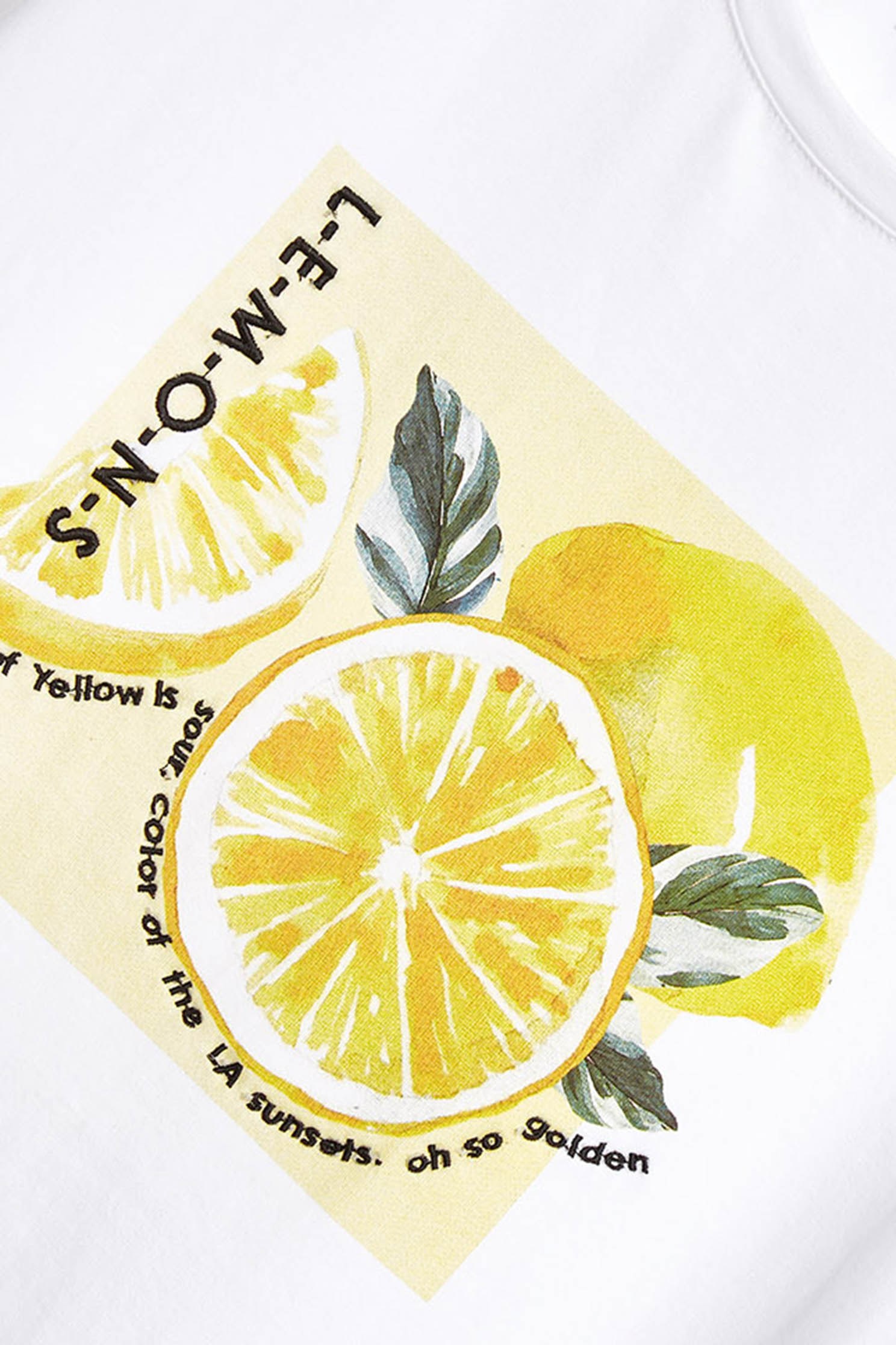 Graphic Print Basic TeeT-shirt with watercolor lemon print,T-shirts,T-shirts,Tops,Embroidered,Season (SS) Look,Cotton,comfotism