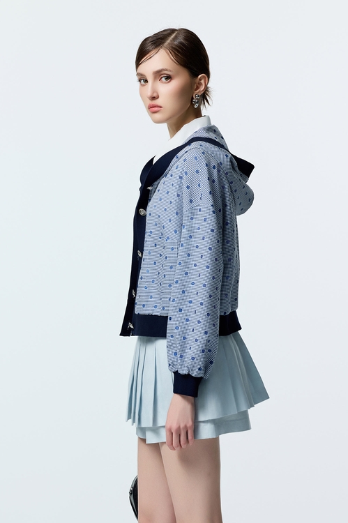 Dotted Embroidery Detail Plaid Jacket,co-ord sets
