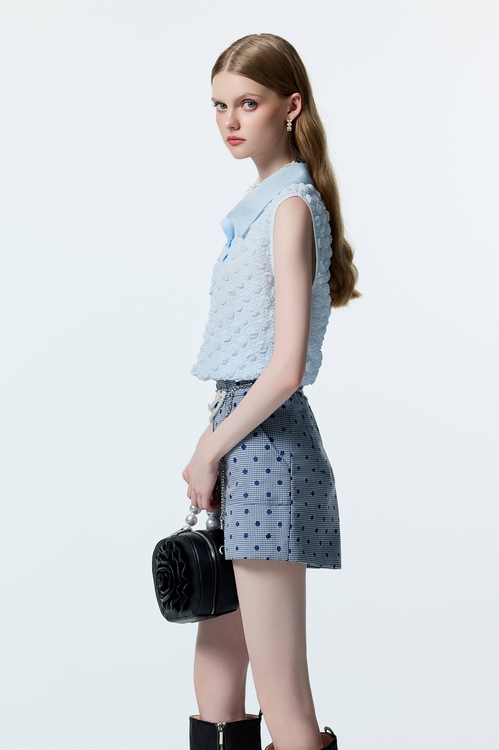 Dotted Embroidery Plaid Shorts,co-ord sets