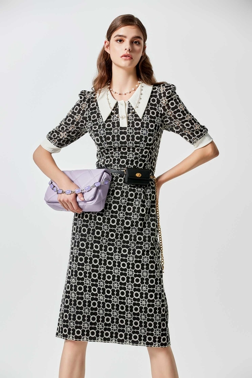 Floral Embroidery Classic Collar Dress,Embroiderd dresses