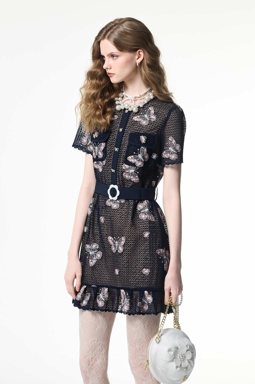 Butterfly Embridery Detail Lace Dress,Lace