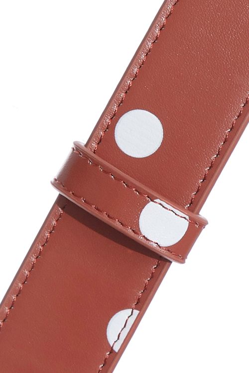 Polka Dot Belt,dotcollection