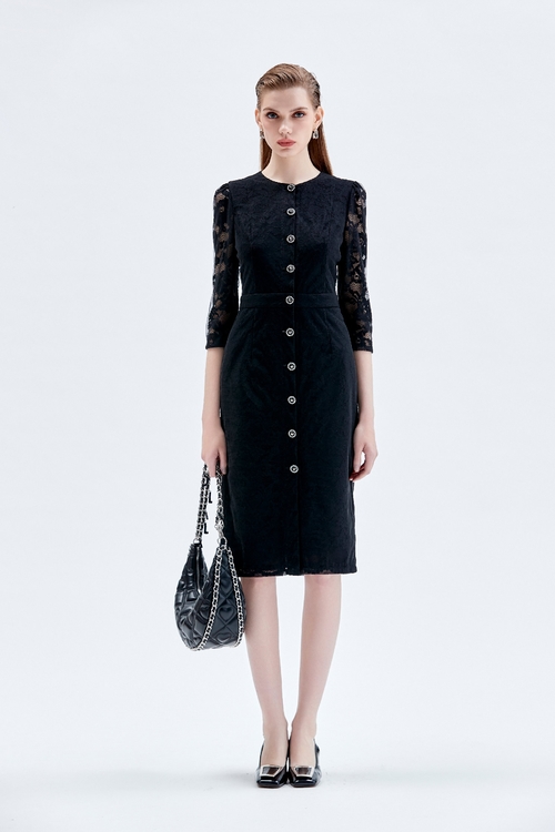 Button Front Lace Sleeve Sheath Dress,Lace