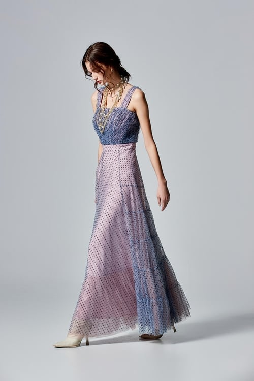 Dotted Print Mesh Evening Dress,Maxi dresses