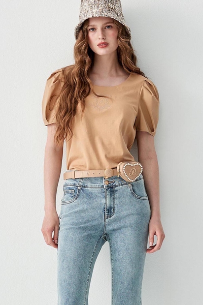 Puff Sleeve With Front Embroidered Graphic Top